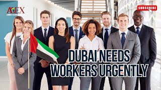 DUBAI NEEDS WORKERS URGENTLY [upl. by Tyoh958]