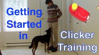 Getting Started with Clicker TrainingBasic Technique Tutorial for Beginners markertraining [upl. by Sualohcin]