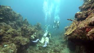 1 Decent Green Outhouse Wall Roatan Honduras [upl. by Etneciv]