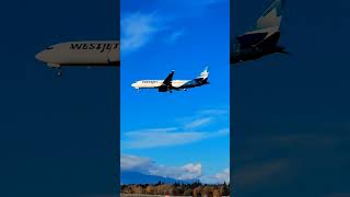 4k  No zooming  live camera west jet airways  boeing 737 landing vancouver airport canada [upl. by Nodroj]