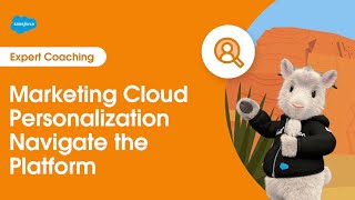 Marketing Cloud Personalization Navigate the Platform  Expert Coaching [upl. by Enitsuj598]