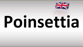 How to Pronounce Poinsettia in British English UK [upl. by Eugaet]