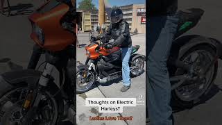 Ladies Love Electric Harleys [upl. by Charis]