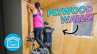 Installing PLYWOOD WALLS instead of DRYWALL in the Not So Tiny House [upl. by Lacie]