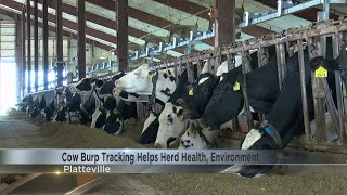 Cow burps to better the planet UWP uses new machine to track methane released from cows [upl. by Senecal]