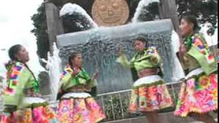 Chicas Rosas y Claveles  Carnavales en Parranda [upl. by Gnues28]