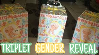 Triplets Gender Reveal [upl. by Mart]