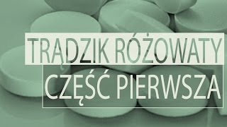 Trądzik różowaty  część 1 [upl. by Mendel304]