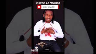 Ithole leNdidane ft Sne Ntuli Omalume PreVideo promo [upl. by Boothe]