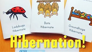 Understanding Hibernation How Animals Survive the Winter [upl. by Gerita309]