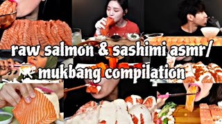 raw salmon amp sashimi asmrmukbang compilation [upl. by Rodge]