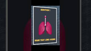 Name that lung sound medicaleducation respiratorymedicine lungsounds auscultation medical quiz [upl. by Retluoc]