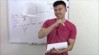 USMLE Neurology 20 Neuro Pathology Herniations [upl. by Cavit]