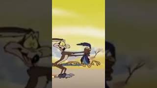 Coyote Finally Catches Roadrunner And Let Him Free [upl. by Adelaida]