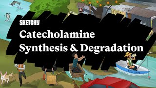 Catecholamine Synthesis amp Degradation Part 1  Sketchy Medical  USMLE Step 1 [upl. by Duffie]