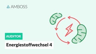 Energiestoffwechsel Teil 4  Fettsäuren und CarnitinCarrier  AMBOSS Auditor [upl. by Lachman]