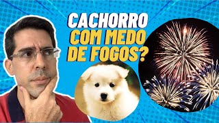 CACHORRO COM MEDO DE FOGOS DE ARTIFÍCIO SAIBA COMO AJUDÁLOS [upl. by Garceau964]