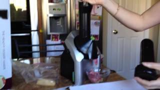 Yonanas Frozen Treat Maker [upl. by Doralia67]