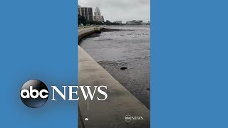 Water recedes from Tampa Bay [upl. by Wan]