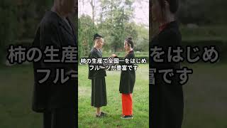 和歌山県の魅力ずんだもんと学ぶ 和歌山県 ずんだもんShort面白い雑学無駄 [upl. by Willner427]