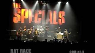 The Specials  Sydney Enmore Theatre [upl. by Luann]