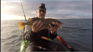 Kayak fishing Filey Brigg [upl. by Romonda538]