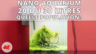 Nano aquarium quelle population [upl. by Paapanen]