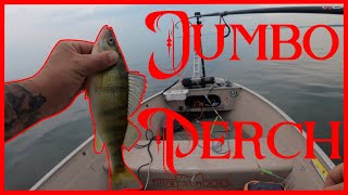 Jigging For Jumbo Lake Erie Perch  How To Catch Perch [upl. by Amairam]