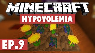 Minecraft Hypovolemia  SPEED RUNES amp BOTANIA 9 Modded HQM Pack [upl. by Otter720]