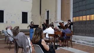 Canone in Re Maggiore di Johann Pachelbel [upl. by Lenka]