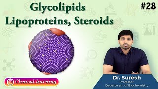 28 Glycolipids Lipoproteins Steroids [upl. by Kcirdahs]