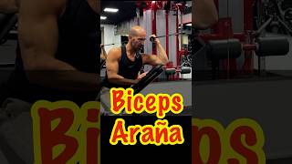 Bíceps en Polea Analítico gym tips [upl. by Ellehsal936]