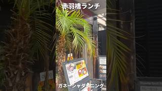 【東京ランチ】東麻布のおすすめ カレー [upl. by Ylliw748]