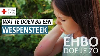 Wat te Doen Bij een Wespensteek  EHBO Doe Je Zo  Rode Kruis [upl. by Diantha597]