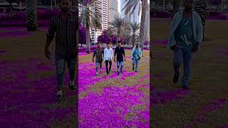 Abu Dhabi new video [upl. by Mayrim]