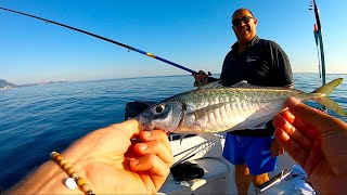 La Tecnica di Pesca più TRADIZIONALE Pesca dalla Barca con la Pastura  Light Drifting con la Sarda [upl. by Massimo337]