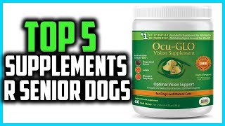 ✅Top 5 Best Supplements for Senior Dogs in 2024 [upl. by Yennep]