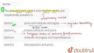 The pneumotaxic centre and rhythm centre are respectively present in [upl. by Eirrej699]