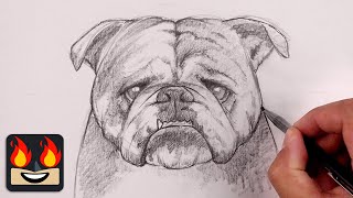 How To Draw a DOG  BULLDOG  Sketch Tutorial [upl. by Edee54]