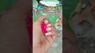 So most red Java full viralvideo Avijit Vlog [upl. by New]