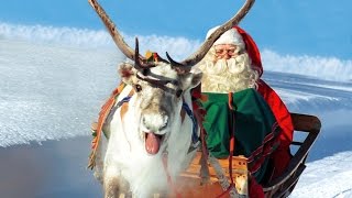 Los Renos de Papá Noel 🦌🎅 Santa Claus en Laponia Finlandia video para famílias Rovaniemi Navidad [upl. by Nerrawed]