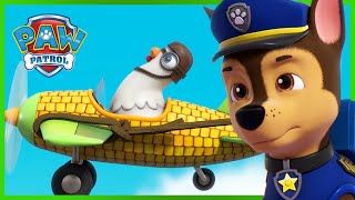 Pups Save a High Flying Chickaletta  PAW Patrol Episode  Cartoons for Kids [upl. by Vandyke]