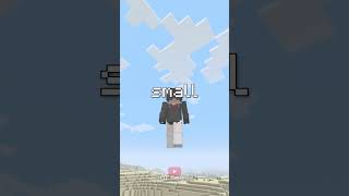 Console Minecraft on Java Edition [upl. by Lenahtan]