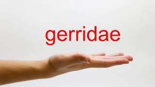 How to Pronounce gerridae  American English [upl. by Vickey]