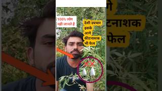 भंग से करें कीट नियंत्रण agriculture farming organicfarmingshortsviral [upl. by Rambow]