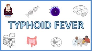 Typhoid Fever  Causes Pathogenesis Signs and Symptoms Diagnosis Treatment and Prevention [upl. by Demmahum]