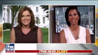 Have You Been to the Senate Harris Faulkner Texas Rep Spar Over Immigration Reform [upl. by Leahcimsemaj]