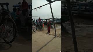 youtubeshorts youtubevideos youtube satapada dolphin viralshorts boating chilika safari [upl. by Eibbor378]