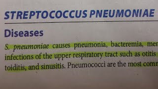 Streptococcus Pneumoniae  MICROBIOLOGY [upl. by Larue7]