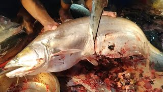 Giant Monster Wallago Attu Catfish Cutting In Fish Market  Big Boal Fish Cutting Skills [upl. by Juan]